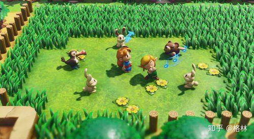 心之大发夹攻略：解锁《塞尔达传说》智慧新境界