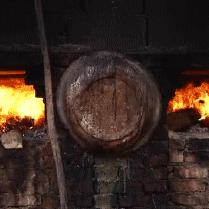 《仙剑世界》万物有灵测试FAQ深度解析，揭秘灵性奥秘攻略指南