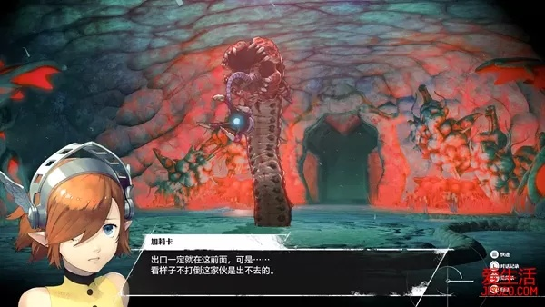 《暗喻幻想》黄金虫全攻略：高效获取秘籍分享