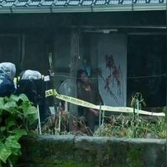 《暗喻幻想》豪华版服饰盛宴，揭秘时尚新潮流