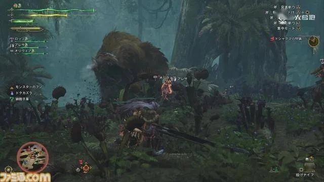 绯红森林探秘：荒野生态新视角揭秘