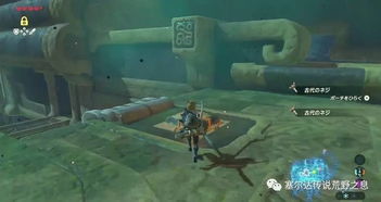 《塞尔达传说》瞌睡道场挑战攻略：深度解析智慧新攻略