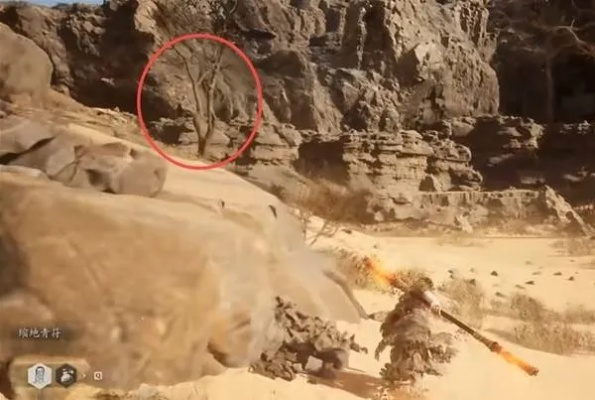 《黑神话悟空》12棵种子全搜集秘籍，解锁隐藏宝藏攻略！