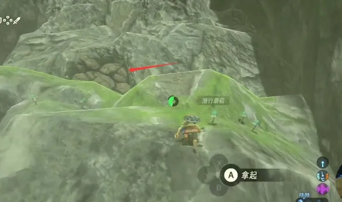 《塞尔达传说》海岸洞窟宝藏秘籍：全物品搜集攻略解析