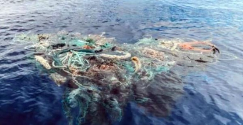 海洋奇观：全球80%海域现降解塑料细菌，环保新希望！