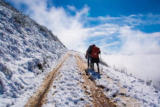 海啸德上分攻略：揭秘全新卡组，助你轻松登顶！