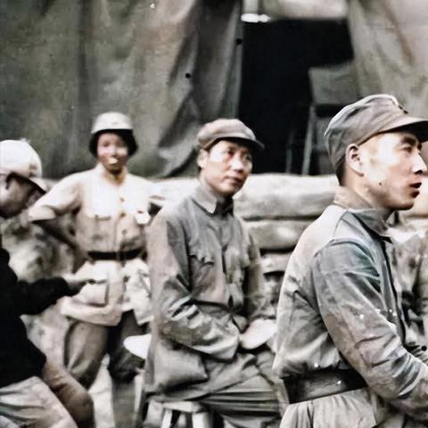 《塞尔达传说》全支线攻略揭秘：智慧再现新攻略指南