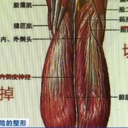 自残术卡组攻略：炉石传说新战术解析