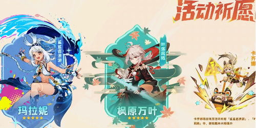 《原神》5.0雷电将军养成秘籍：全方位攻略，打造最强战神！