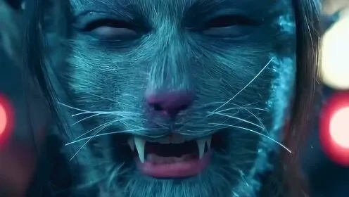 《冒牌猫谜》全揭秘：深度解析神秘猫妖之谜