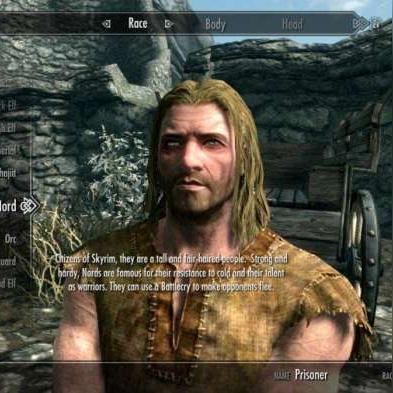 《勇敢小骑士》全卷轴攻略，意外鸟收集秘籍大揭秘！