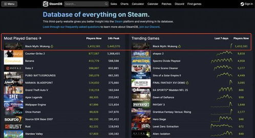 《黑神话悟空》二周目毛猴秒杀秘籍：高效配装与精准加点攻略解析