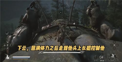 《黑神话悟空》凤翅将军无伤攻略：轻松掌握抓捕技巧