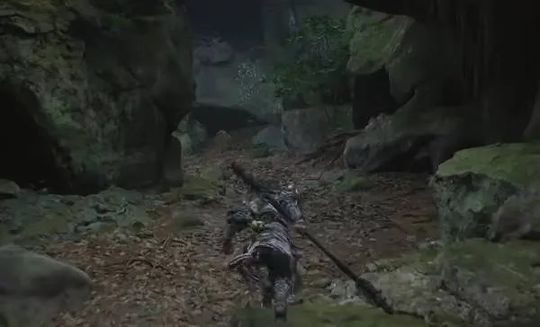 《黑神话悟空》全种子获取秘籍，高效收集攻略大揭秘