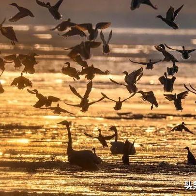 AI助力三角洲，甜蜜恋爱新篇章