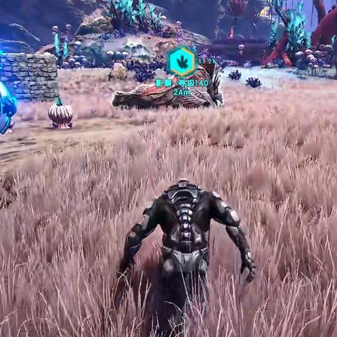 《命运方舟》暗影技能攻略：高效输出配装与技巧解析**新视角**