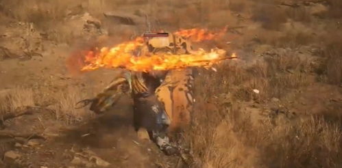 《黑神话悟空》广智攻略解析：高效打法全揭秘！