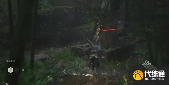 《黑神话悟空》15落伽香藤高效收集法，解锁全新游戏体验
