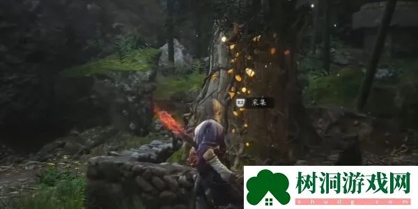 落伽香藤藏秘境，全获取攻略大揭秘！