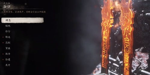 《黑神话悟空》泡酒物攻略：解锁全收集秘籍大揭秘