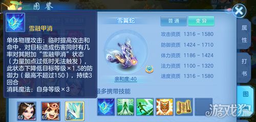 玛拉妮强力配队攻略：打造全新输出组合