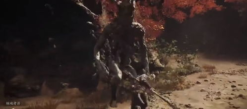 《黑神话悟空》泡酒秘籍：悟空泡酒物搭配攻略大揭秘