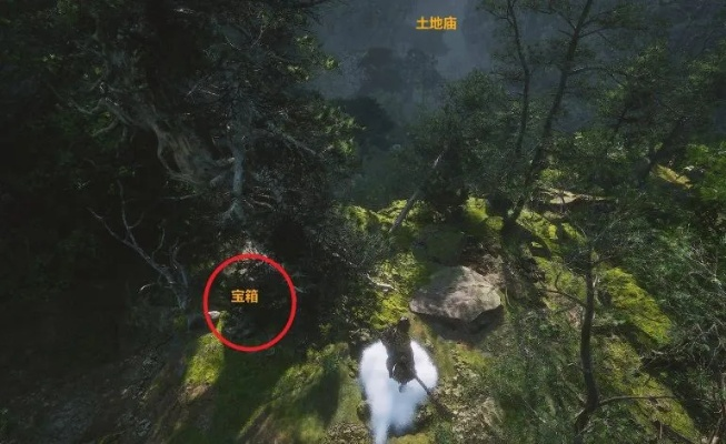 《黑神话悟空》点翠飞龙釬攻略：高效获取新技巧揭秘