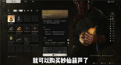 《黑神话悟空》金丹全收集攻略：高效获取秘籍解析