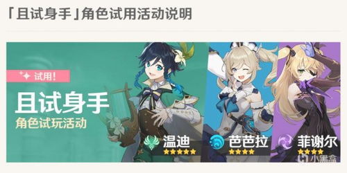 绮绘追踪，探索《原神》绮绘的踪绪活动新玩法