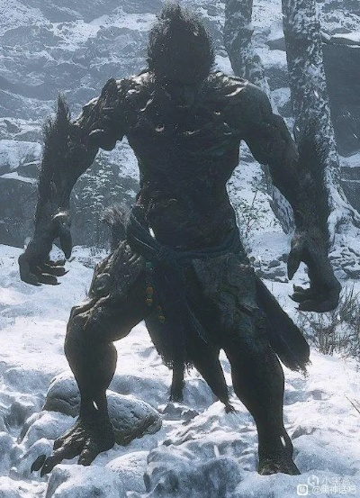 《黑神话悟空》全变身攻略解析，深度挖掘获取技巧与价值评估