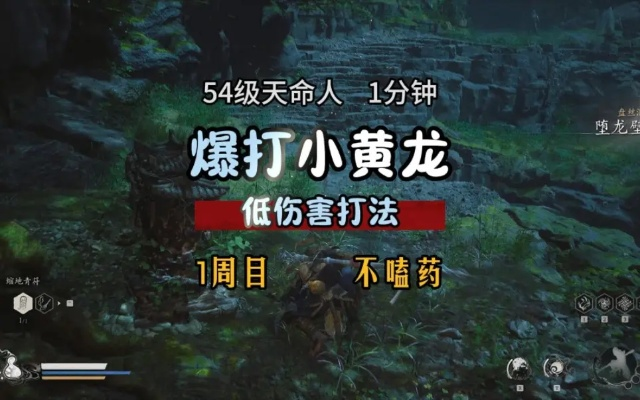 高容错攻略！小黄龙全新打法解析，轻松应对挑战