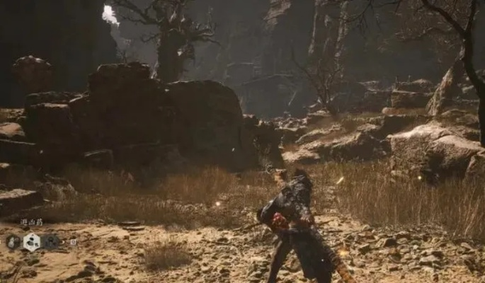 《黑神话悟空》定风珠获取秘籍，高效解锁新技能攻略！