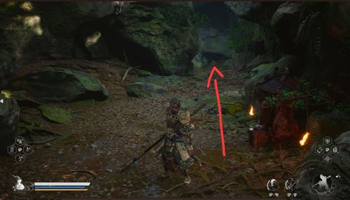 黑风山苍狼林全攻略，悟空秘境寻宝新路径