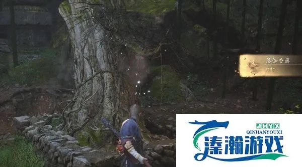 《黑神话悟空》全落伽香藤搜集攻略+葫芦升级秘籍大揭秘