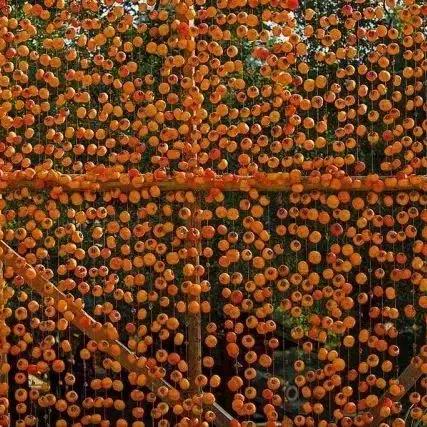 心动小镇独家兑换码大放送，8月19日直播惊喜揭晓！