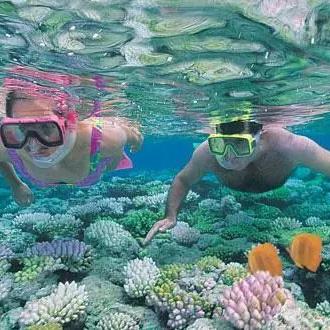 湖蓝色小鸭子第八天沙滩乐园新位置揭晓