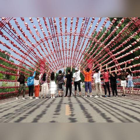 心动小镇独家兑换码大放送，直播间惊喜福利揭晓！