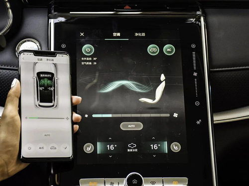 夜市规则大揭秘：无畏契约全新价值攻略解析