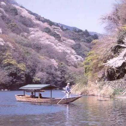 心动小镇8月14日独家兑换码直播揭晓，限时福利大放送！