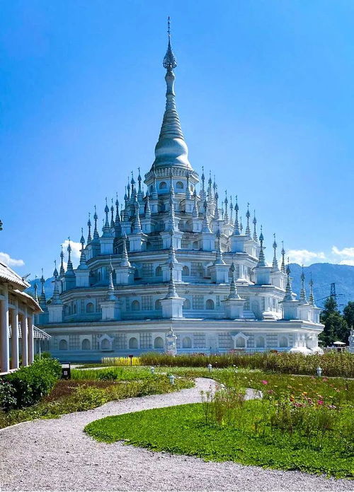 8月11日溜溜橡木藏匿地揭秘，萤石宝藏新发现！