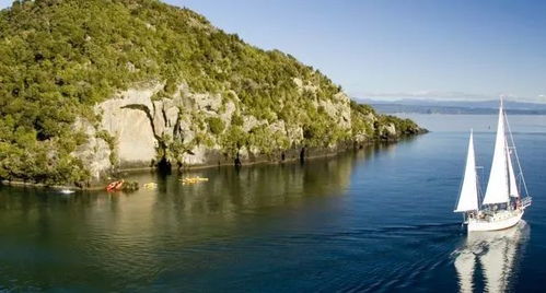 溜溜橡木与无暇萤石新坐标，心动小镇探险新篇章