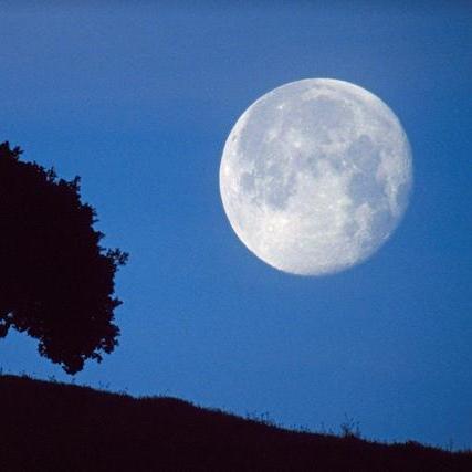 中国玩家视角：打破“国外月亮圆”迷思，探寻《黑神话：悟空》独特魅力