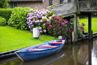 心动小镇白秋沙鸭寻踪记