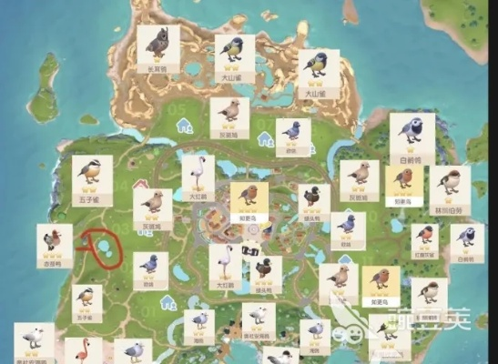 《心动小镇》白头硬尾鸭寻踪记：探寻神秘鸭踪迹