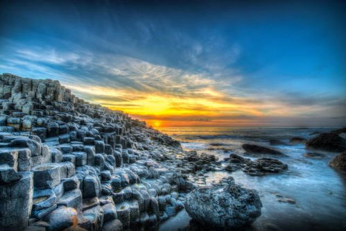 美洲火烈鸟奇遇地揭秘：心动小镇探秘之旅