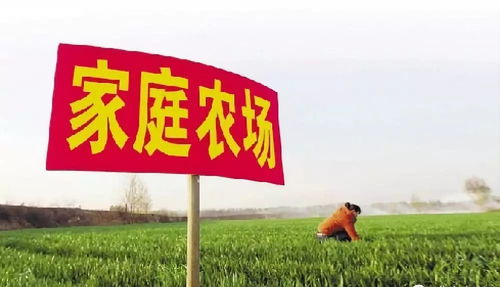 悠然田园生活，慢享农场经营新体验