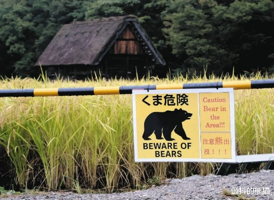 紧急！东京周边熊害频发，已夺12命，警惕生态危机！