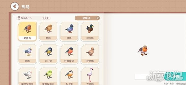 《心动小镇》黄喉蜂虎寻踪记：探寻神秘鸟踪迹