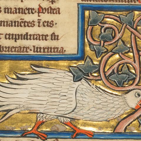 《命运方舟》国王卡牌进阶攻略：解锁最强进阶技巧秘籍