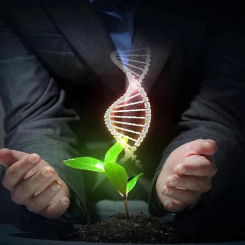 《GTA6》延期发布，外媒感恩提醒：延期实为机遇